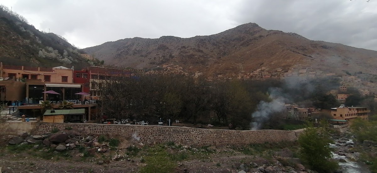 زيتونية ماريغا