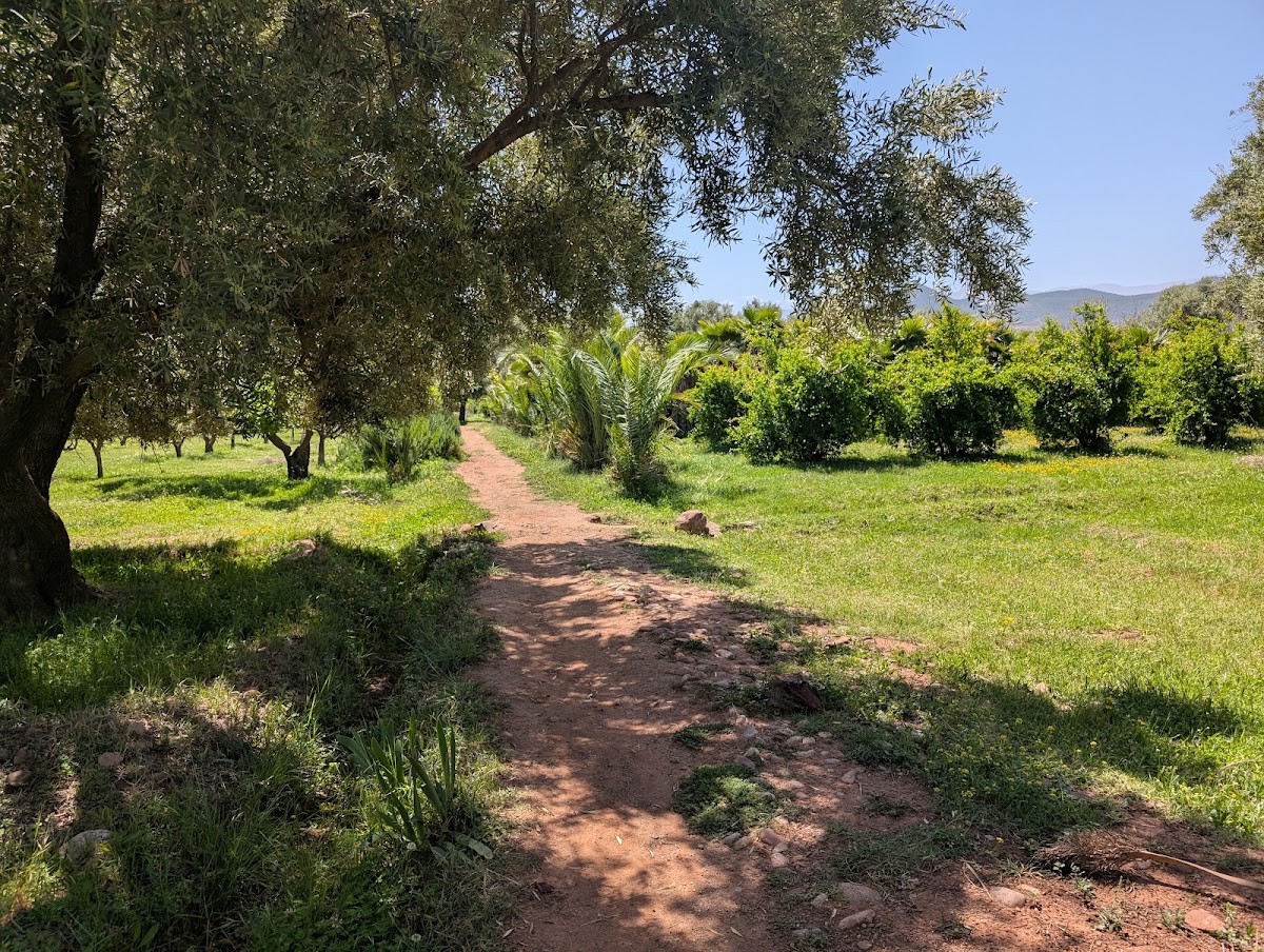 Safraniere de l'Ourika